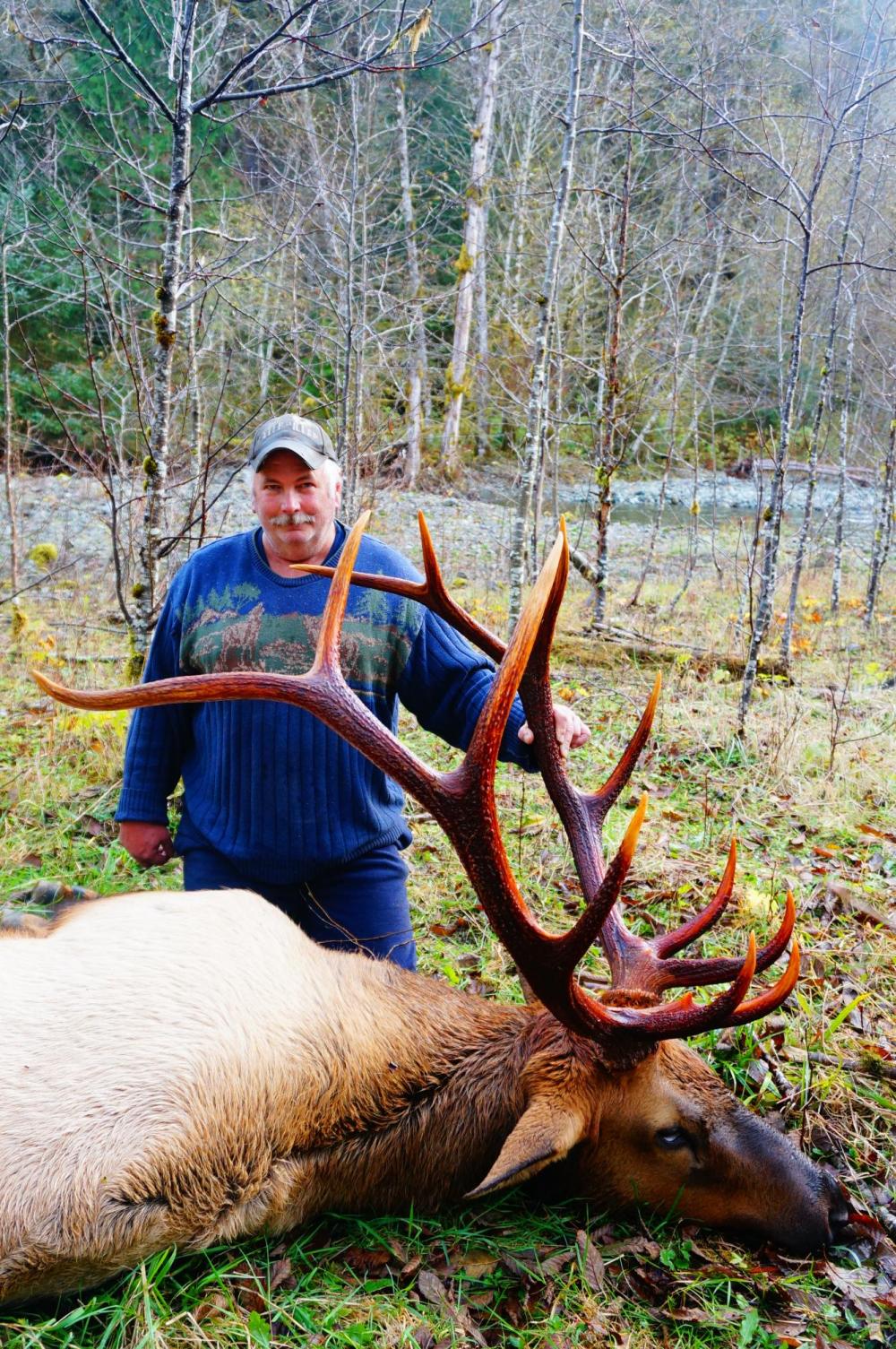 Roosevelt Elk Fraser River Outfitters, Vancouver Island BC Hunting Trips